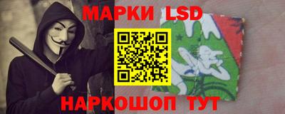 тгк Новозыбков