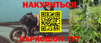 тгк Новозыбков