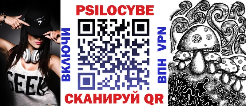 Галлюциногенные грибы Psilocybe  Чебоксары 