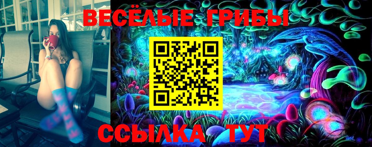 Чебоксары  Галлюциногенные грибы ЛСД  Вход с VPN 