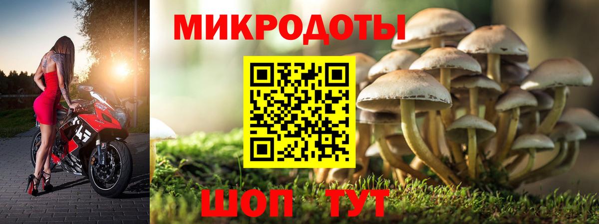 Галлюциногенные грибы MAGIC MUSHROOMS Чебоксары